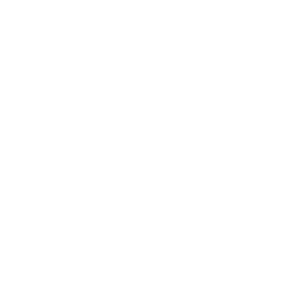 XING